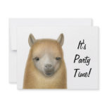 Alert Alpaca Invitation