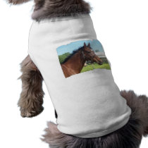 Alert Arab Horse Pet Shirt