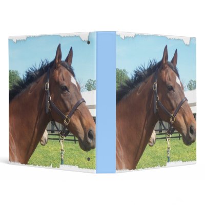 Alert Arabian Horse Binder by HorseStall