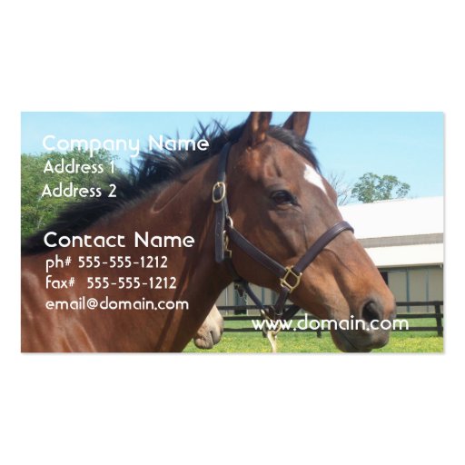 Alert Arabian Horse Business Card (front side)