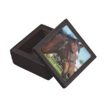 Alert Arabian Horse Gift Box Premium Gift Boxes