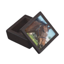 Alert Arabian Horse Gift Box Premium Gift Boxes