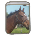 Alert Arabian Horse iPad Sleeve
