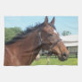 Alert Arabian Horse Kitchen Towel