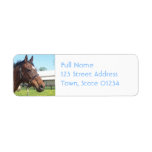Alert Arabian Horse Mailing Label