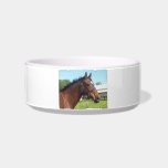 Alert Arabian Horse  Pet Bowl Cat Water Bowl