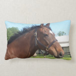 Alert Arabian Horse Pillow