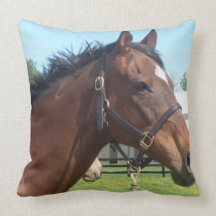 Alert Arabian Horse Pillow