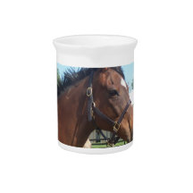 Alert Arabian Horse Pitcher