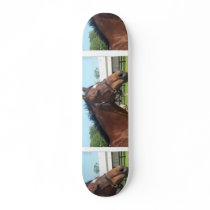 Alert Arabian Horse Skateboard