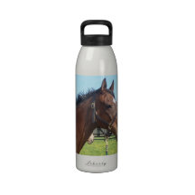 Alert Arabian Horse Water Bottle