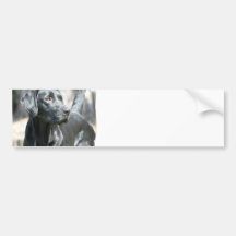 Alert Black Lab Bumper Stickers