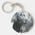 Alert Black Lab Keychain