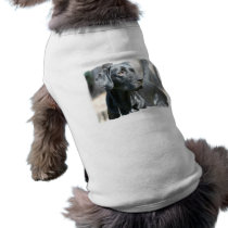 Alert Black Lab Pet Shirt