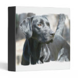Alert Black Labrador Retriever Dog Binder binders