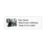 Alert Black Labrador Retriever Dog Mailing Labels