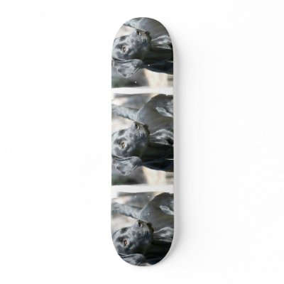 Alert Black Labrador Retriever Dog Skateboard by DogPoundGifts