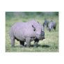 Alert Black Rhino Post Card