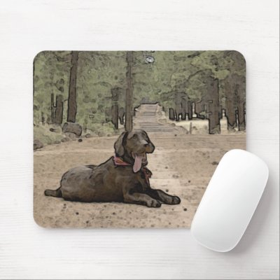Alert Chocolate Lab On A Forest Trail Mousepads by Exit178