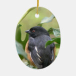 Alert Eastern Towhee Ornaments