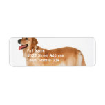 Alert Golden Retriever Mailing Label