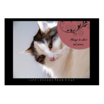Alert Life Lessons From A Cat ACEO Art Cards Business Card