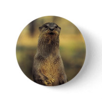 Alert Otter buttons by alternateworlds Alert Otter buttons