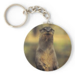 Alert Otter Key Chains