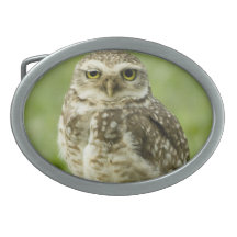 Alert Owl Belt Buckle