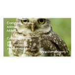 Alert Owl Business Cards