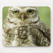 Alert Owl Mouse Pad