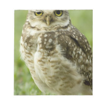 Alert Owl Notepad