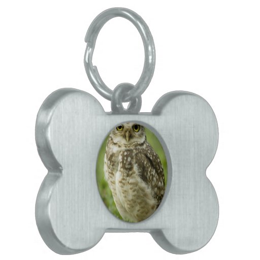 Alert Owl Pet Tag