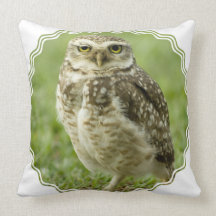 Alert Owl Pillow