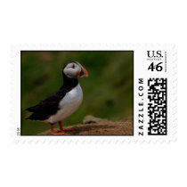 Alert Puffin postage