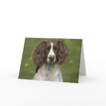 Alert springer cards by cARTerART Alert springer cards