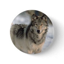 Alert Wolf buttons