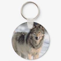 Alert Wolf keychains