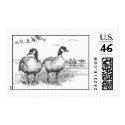 Aleutian Canada Geese postage by moxieann Aleutian Canada Geese postage