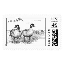Aleutian Canada Geese  postage