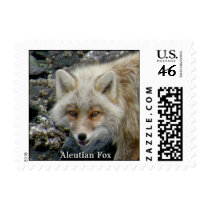 Aleutian Fox on Unalaska Island Stamps
