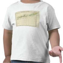 Aleutian Islands 39 T-shirt