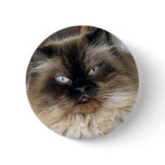 Alex Pin