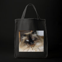 Alex bags