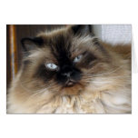 Alex Greeting Cards