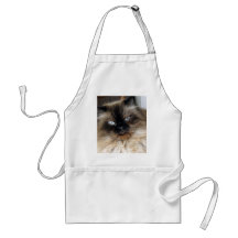 Alex-I see you!! Aprons