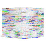 Alexander Text Design II Binder