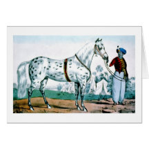Alexander the horse, USA 1840 Greeting Card