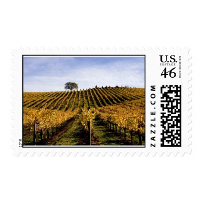 Alexander Valley Hillside Postage Stamps by joe_becerra