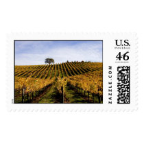 Alexander Valley Hillside Postage Stamps